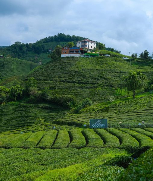 Karadeniz Turları